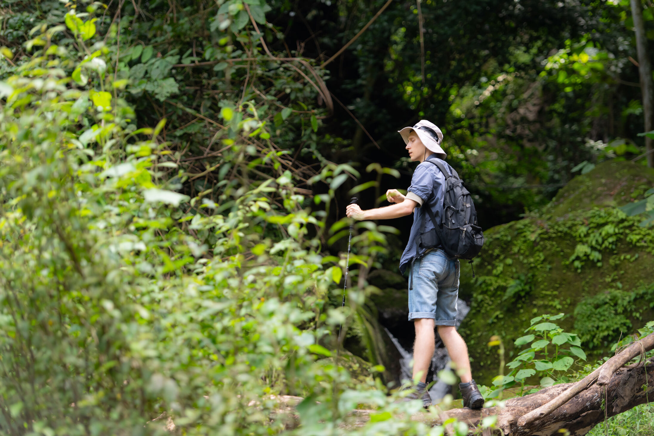 Hiking in Sinharaja Rainforest